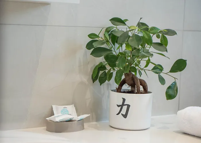 Demiani House * 라도스